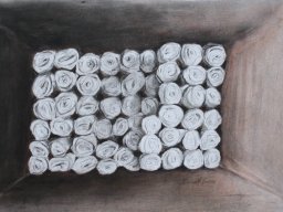 lost lace - boxed roses 30x45cm charcoal and conte